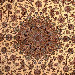 Abbot : All and Everything